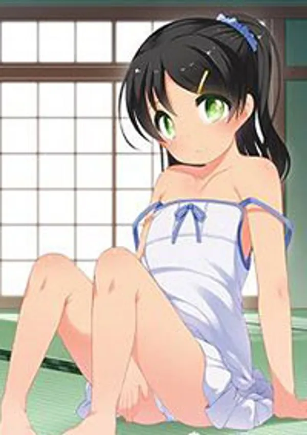 Ichinen buri no the animation 1 video